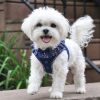 American River Choke Free Dog Harness Polka Dot Collection