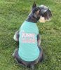 Bunny Chaser Dog Shirt