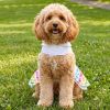Ice Cream Cart Dress with Matching Leash