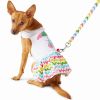 Ice Cream Cart Dress with Matching Leash