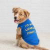 I'm Not Wearing Pants Dog Shirt