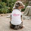 Lil Princess Dog Shirt
